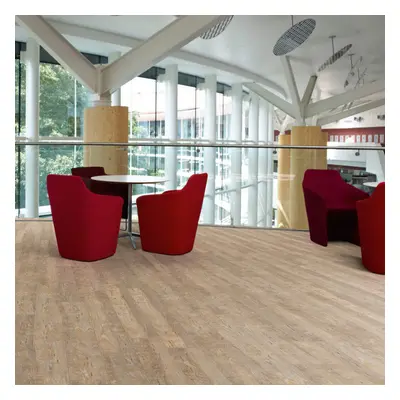 Amtico First SF3W2516 Bleached Elm 152,4 x 914,4 mm