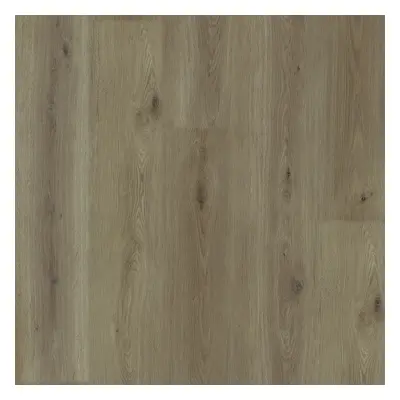 Experto LVT 55 Dub Mirra 8196L-003