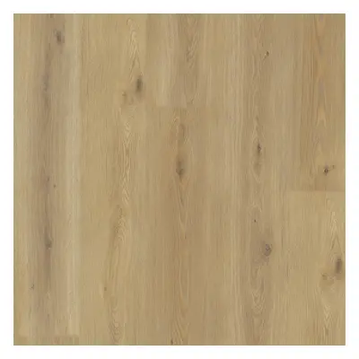 Experto LVT 55 Dub Calle 8196L-001