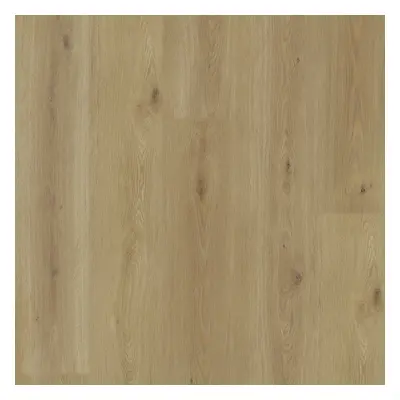 Experto LVT 55 Dub Citi 8196L-005