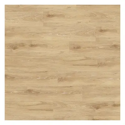 Creation 55 White Lead Oak Blond 1288