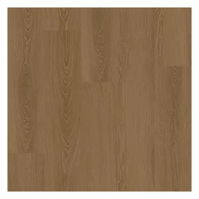 COREtec SurPlus 50RLV3683 Elegance Oak 83