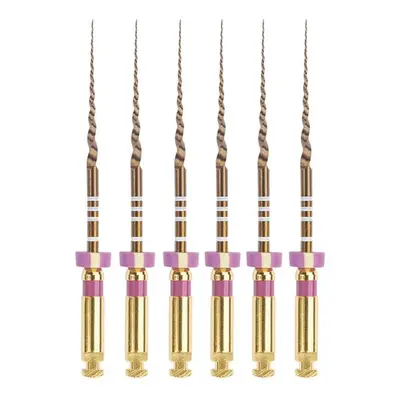 Dentsply Maillefer kořenové nástroje Protaper Gold RA S2, 25 mm (fialové), 6ks