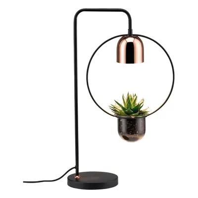 Stolní lampa Fanja 1-ramenné pro osvětlení rostlin černá/měď 797.46 - PAULMANN