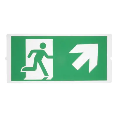 P-LIGHT Emergency , stair signs for areal light, zelená - BIG WHITE (SLV)