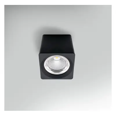 Stropní svítidlo LED QUBE ČERNÉ 90x90x90mm 10W 230V 3000K 45d IP20 - CENTURY