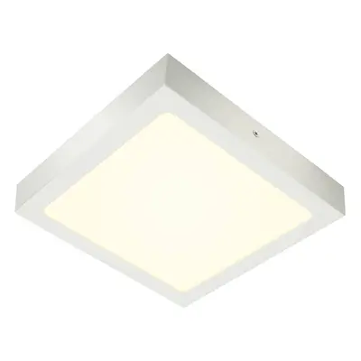 SENSER 24 CW vnitřní LED nástěnné a stropní přisazené svítidlo hranaté bílé, 4000 K - BIG WHITE 