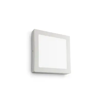 LED nástěnné a stropní svítidlo Ideal Lux Universal AP1 138633 - IDEALLUX