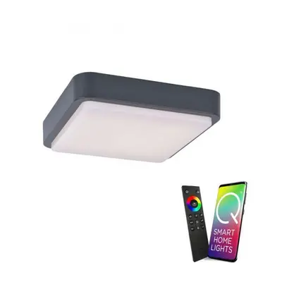 Q-LENNY, LED venkovní svítidlo, Smart Home RGB+3000K - PAUL NEUHAUS