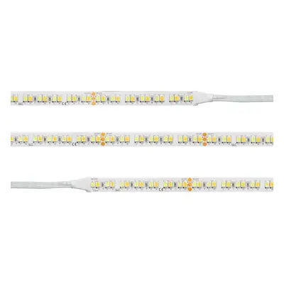 LED pásek SLC Tunable White 24V 14,4W IP20 2200-6500K - TLG