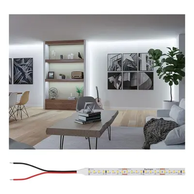 Pro LED Strip Silver P150 865 5m 50W 1550lm/m 160LEDs/m 6500K - PAULMANN