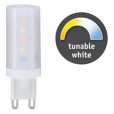 LED žárovka 1x4W G9 teplá bílá - denní bílá TunableWhite - PAULMANN