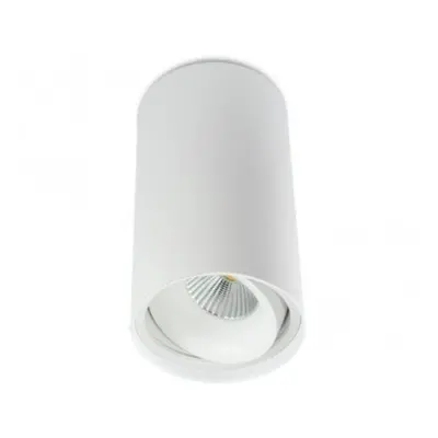 Stropní svítidlo Butup černá polomatná ,LED 9,3W Ø100mm L 190mm, 976lm, BPM 9051.10.BK-BK.D40.3