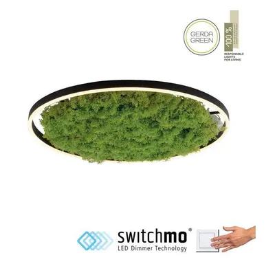 GREEN RITUS LED stropní svítidlo 60x60 islandský mech Moos Switchmo 3 krokové stmívání 3000K aku