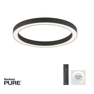 Paul Neuhaus LED stropní svítidlo PURE-LINES antracit 50cm stmívatelné CCT 2700-5000K - PAUL NEU