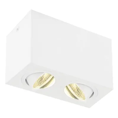 TRILEDO Double, LED stropní nástavbové svítidlo, bílá, 3000K, 16W - BIG WHITE (SLV)