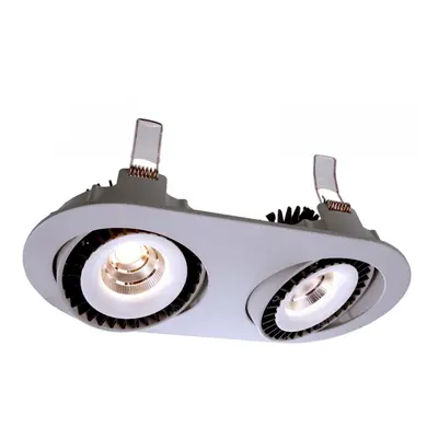 Downlight Shop II výklopný LED 2x15W 4000K 500mA stříbrná - LIGHT IMPRESSIONS