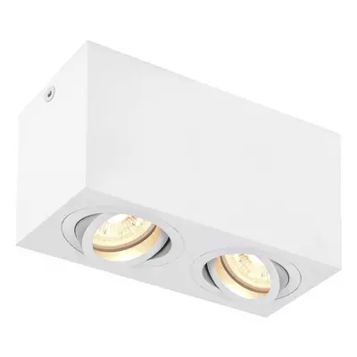 TRILEDO Double, stropní nástavbové svítidlo, QPAR51, bílá, max. 10W - BIG WHITE (SLV)