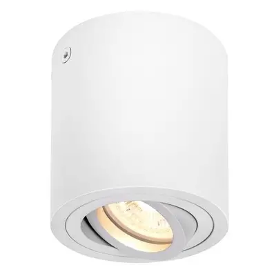 TRILEDO CL, vnitřní stropní nástavbové svítidlo, QPAR51, bílá, max. 10W - BIG WHITE (SLV)