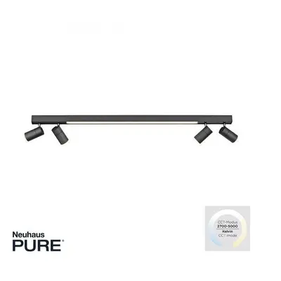 Stropní svítidlo PURE-LINES LED 10W 2700-5000K + 4x LED 4W 2700-5000K antracit - PAUL NEUHAUS