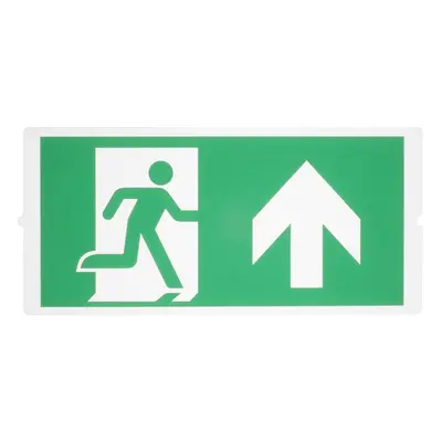 P-LIGHT Emergency, standard signs for areal light, zelená - BIG WHITE (SLV)