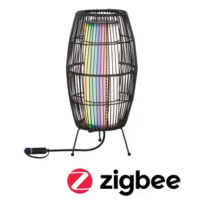 Plug & Shine LED světelný objekt Smart Home Zigbee Basket IP44 RGBW 3,2W černá - PAULMANN