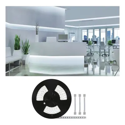 MaxLED 500 LED Strip denní bílá 20m 72W 550lm/m 72LEDs/m 6500K - PAULMANN