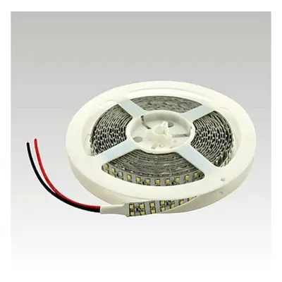 NBB LED pásek 12V 240LED/m SMD3528 6000K IP20 19.2W/m 903003050