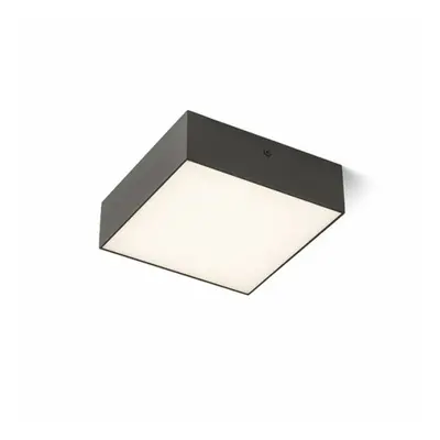 RED - DESIGN RENDL RENDL LARISA SQ 17 stropní černá 230V LED 15W 3000K R12849