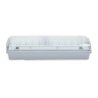 NBB CARLA 30 LED 1h DP IP65 910100000