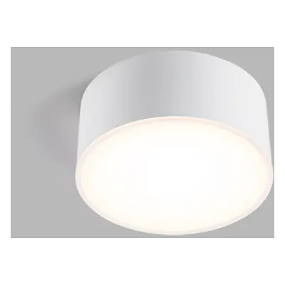 LED2 1010151D BUTTON II, W DIM 12W 3000K/4000K