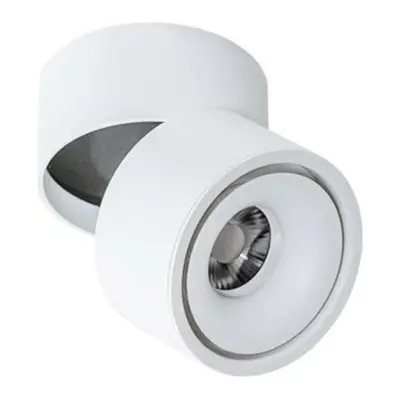 LED Stropní a nástěnné přisazené svítidlo AZzardo Costa white/white AZ2856 12W 1020lm 3000K IP20