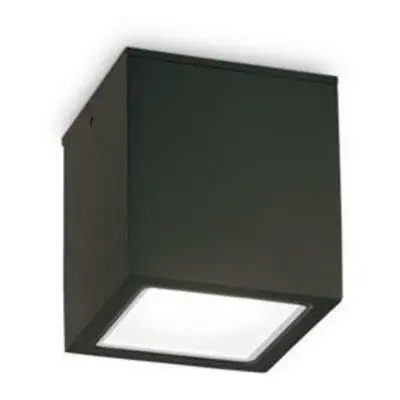 Venkovní stropní přisazené svítidlo Ideal Lux TECHO PL1 BIG NERO 251530 GU10 1x20W IP54 15cm čer