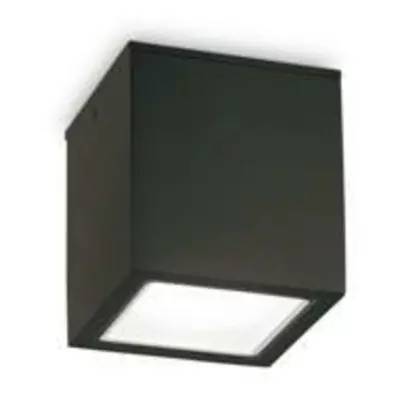 Venkovní stropní přisazené svítidlo Ideal Lux TECHO PL1 SMALL NERO 251578 GU10 1x20W IP54 9cm če