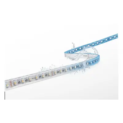 CENTURY LED pásek ACCENTO 9,5W/m STRIP RGBW 4000K 5m IP65 24V DC