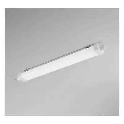 CENTURY LED prachotěs PRIMA 50W 4000K IP65