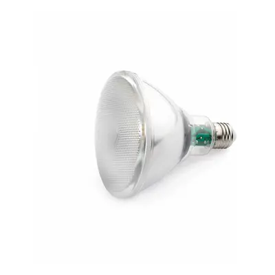 FARO LED žárovka E27 PAR38 LED 10W 4000K