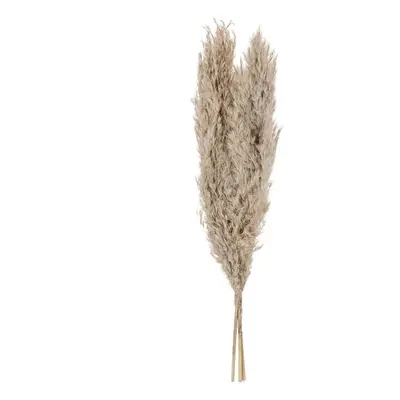 Eglo LIVING Pampas grass v.550 3 ks GUIPOS 428083