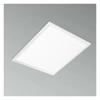 CENTURY LED PANEL P-QUADRO BACKLIGHT 600x600x26mm CRI90 42W 4000K UGR19 FLICKER FREE IP20