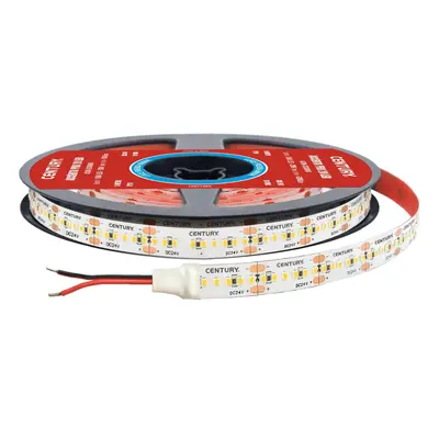 CENTURY LED pásek ACCENTO PRO 20W 300 led/m 100W 6000K 6300Lm Ra90 120d IP20 24VDC CEN AC90-2030