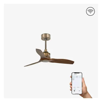 FARO JUST FAN XS, starozlatá/dřevo, stropní ventilátor 81cm SMART