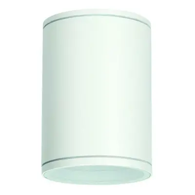 ACA Lighting E27 PAR30 venkovní kulaté stropní svítidlo 230V bílá IP65 MAX.35W LG2302E27W