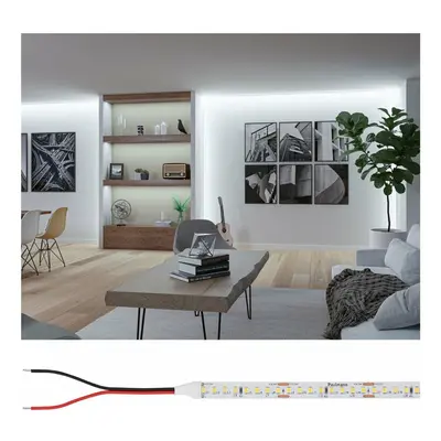 PAULMANN Pro LED Strip Silver P150 865 5m 50W 1550lm/m 160LEDs/m 6500K