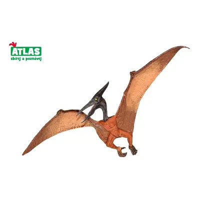 C - Figurka Dino Pteranodon 22cm, Atlas, W101836