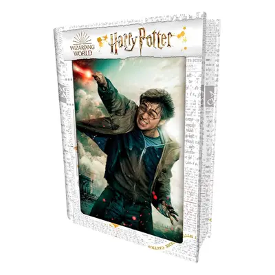 3D PUZZLE Harry Potter-Harry Potter 300ks, W019133