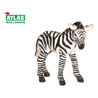 B - Figurka Zebra hříbě 7cm, Atlas, W101820