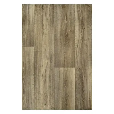 PVC Vector Lime Oak 169 400 cm