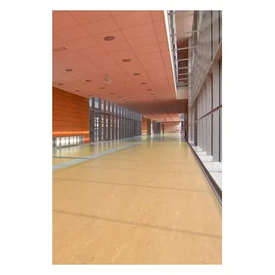 PVC Polyflor ULTRA XL PU 3910 tl. 2,0mm 200 cm