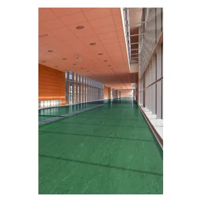 PVC Polyflor ULTRA XL PU 3830 tl. 2,0mm 200 cm