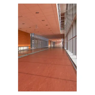 PVC Polyflor ULTRA XL PU 3850 tl. 2,0mm 200 cm